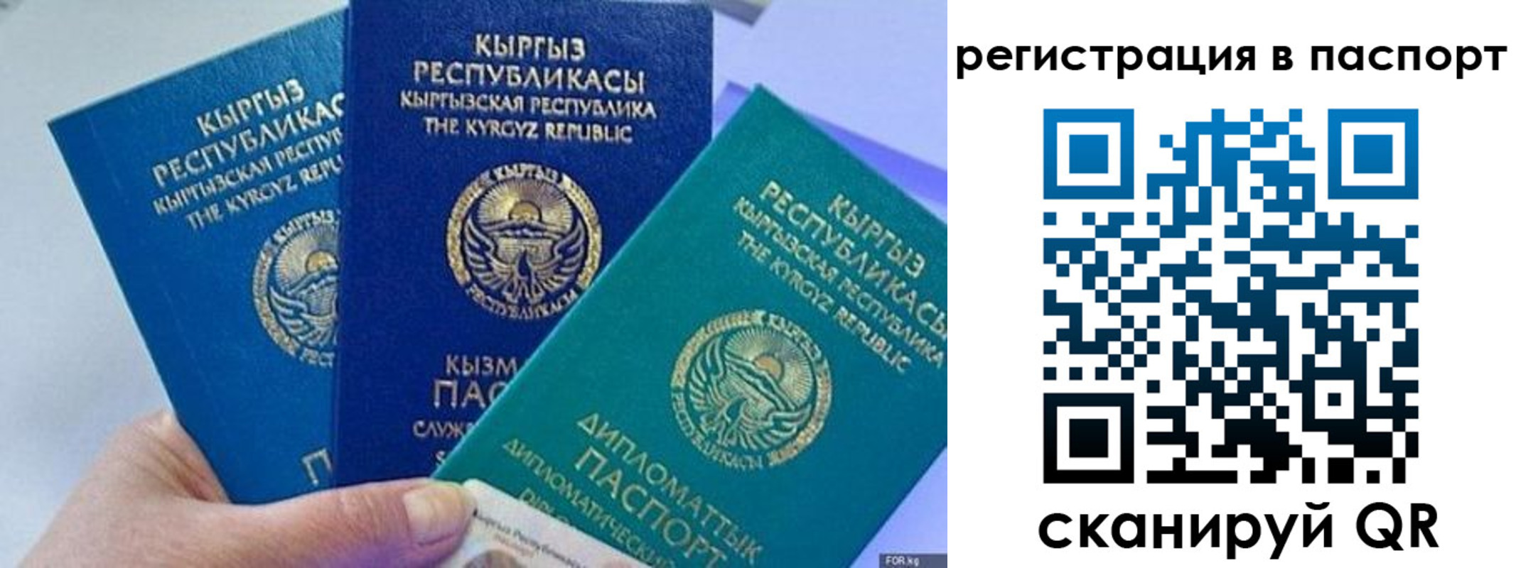 прописка 2025 в Ингушетии
